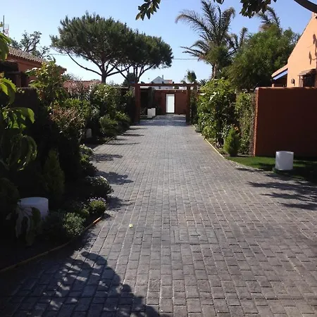 4 Ragel Costa * 加的斯